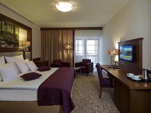 Hotel Mercure Krynica Zdrój Resort&Spa