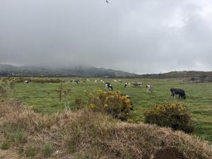 L'Eden De La Grande Ferme