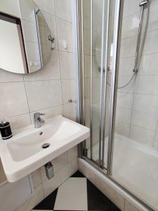 Cozy Flat at Žižkov & Free Parking