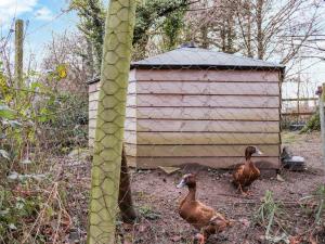 Shepherds Hut One - Uk48784