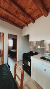 Ciruelos del Sur - San Rafael Mendoza