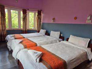Hotel Fishtail Villa