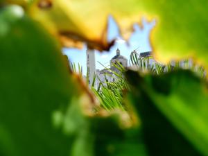 Casa Melina! Historic house in Locorotondo