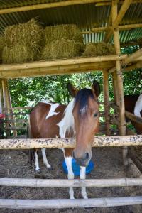 Los lagos del abuelo