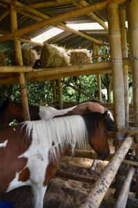 Los lagos del abuelo