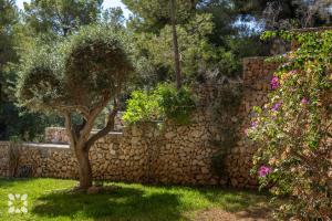 Villa El Magraner by Abahana Villas