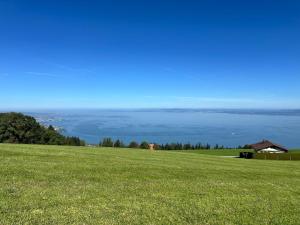 Seesicht - Rückzugsort oberhalb vom Bodensee