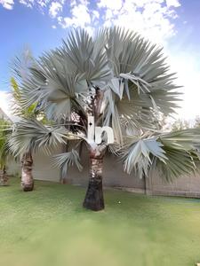 Linda Casa Cumbuco - 12 pessoas