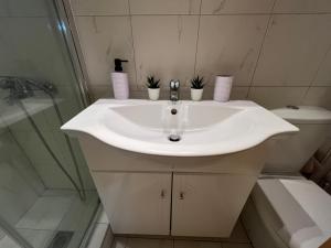 Chris & Mary Beautiful Yard SKG