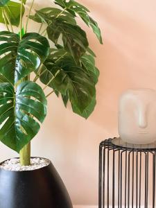 Mistiq, departamento con balcon y albercas con vistas impresionantes