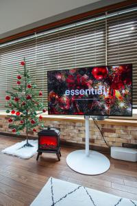 Stay Vibe Healing House