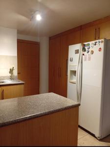 Departamento Bellavista Canal 8