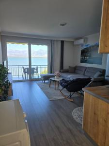 Shirokas Special Guest