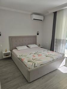 Shirokas Special Guest