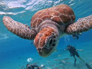 1954 Modern Apartment San Juan Wifi AC
