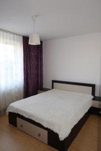 Apartment Centrul Vechi-Târgul de Crăciun