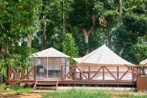 THE FARM Slow Mountain Narita