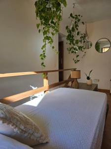 Domu Malaspina img23