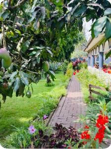 Giving Hands Homestay