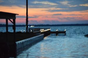 The Bungalows on Lake Griffin