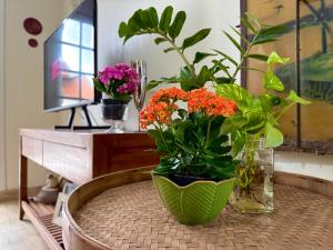 Paraíso na praia 800 mts do mar