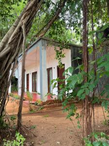 Seraphia Lodge Habarana