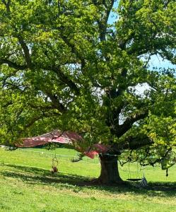 Goldings detached Barn farm stay