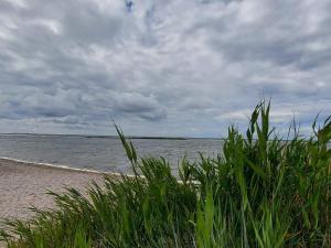 4 star holiday home in GOTLANDS TOFTA-By Traum