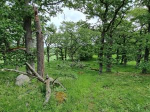 4 person holiday home in TORSHÄLLA-By Traum