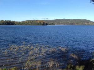 4 person holiday home in HORN-By Traum