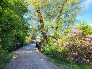 6 person holiday home in SÄFFLE-By Traum