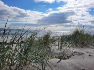 3 person holiday home in HUNVIGAN-By Traum