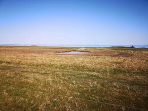 4 person holiday home in Ærøskøbing-By Traum