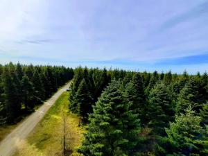 Holiday home in Central Jutland