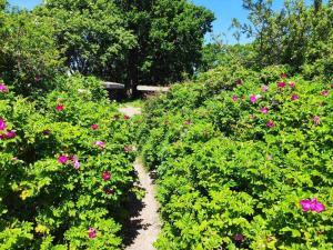 6 person holiday home in Sjølund