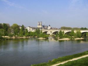 Ibis budget Orléans Sud Comet