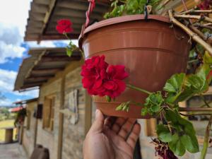 Glamping El Atardecer, vía a Loja