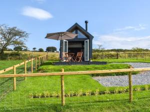Llandremor Fawr Lodge - Uk50336