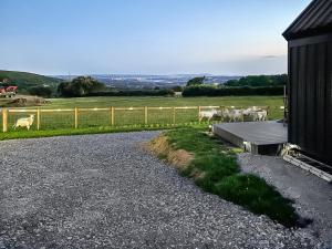 Llandremor Fawr Lodge - Uk50336