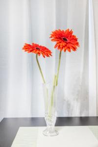 304 8 min walk to Ikebukuro 6 min walk to Kanamecho Station25m Max 2 people Direct access to Tokyo, Shinjuku, Shibuya, Ueno