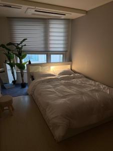 gangnam sinnonhyeon 2518