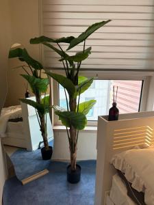 gangnam sinnonhyeon 2518