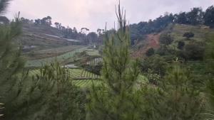 Hanara Bohemian Villa