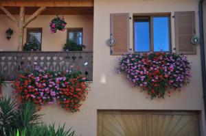 Appartements Aux Grains Nobles : photos des chambres