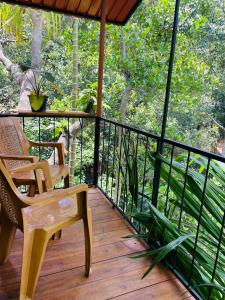 Wonder Tree Lodge
