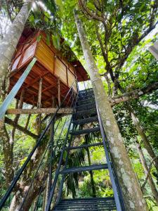 Wonder Tree Lodge