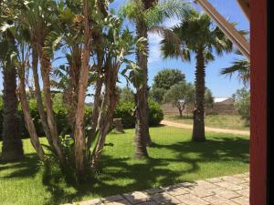Masseria Patese
