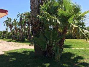 Masseria Patese
