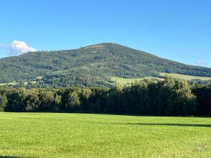 Apartamenty nad Starynką