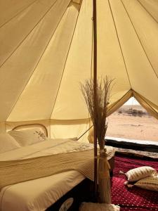 Night Stars Camp